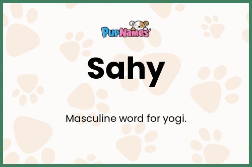 Sahy dog name meaning