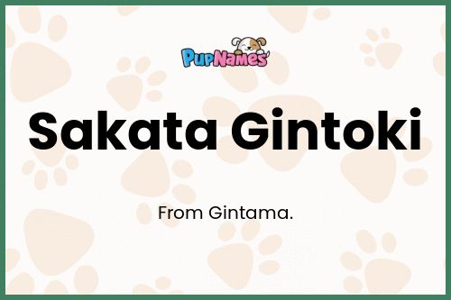 Sakata Gintoki dog name meaning