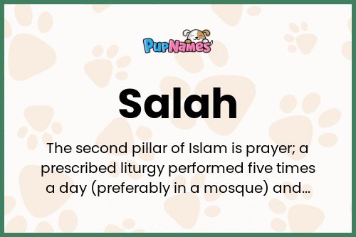 Salah dog name meaning