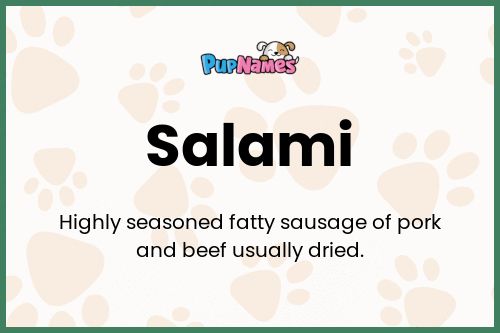 Salami dog name meaning