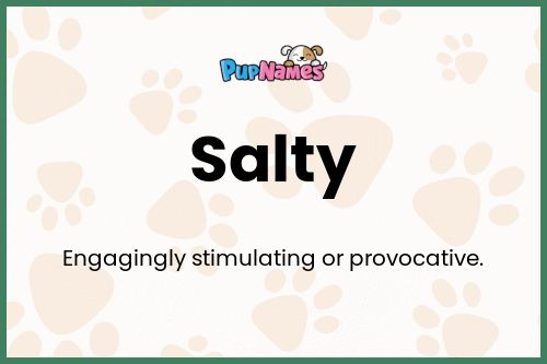 Salty dog name meaning