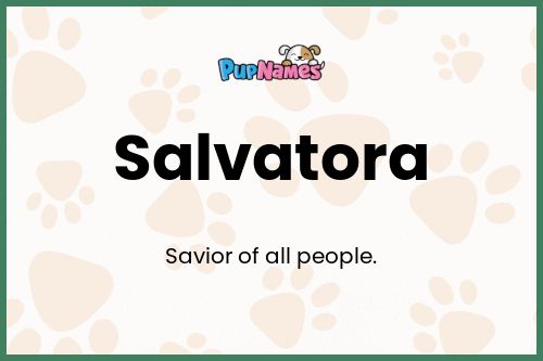 Salvatora dog name meaning