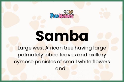 Samba dog name meaning