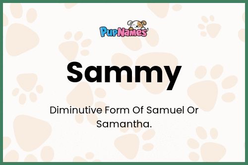 Sammy dog name meaning