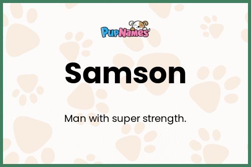 Samson dog name meaning