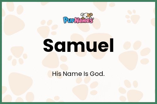 Samuel dog name meaning