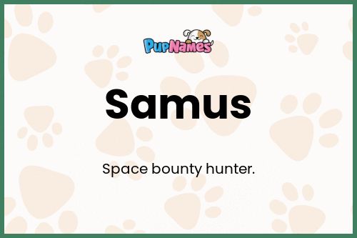 Samus dog name meaning