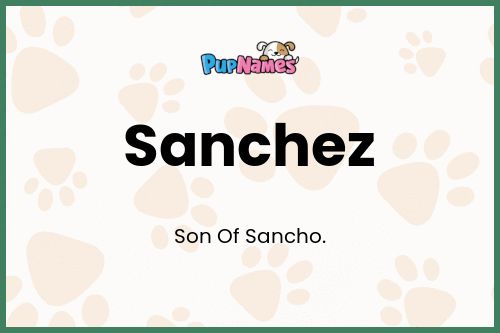 Sanchez dog name meaning