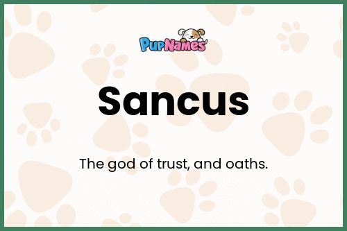 Sancus dog name meaning