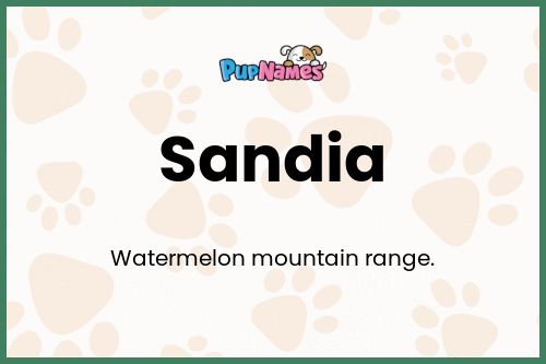Sandia dog name meaning