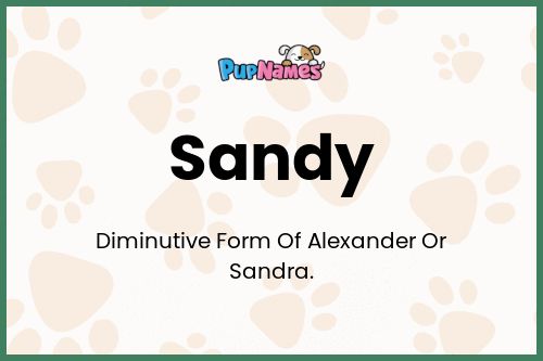 Sandy dog name meaning