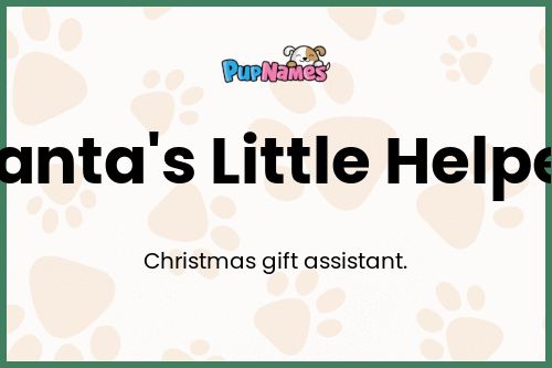 Santa's Little Helper dog name meaning