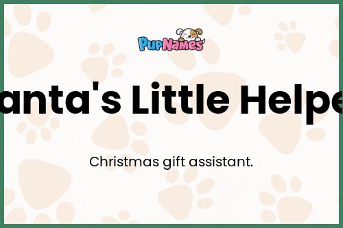 Santa's Little Helper dog name meaning