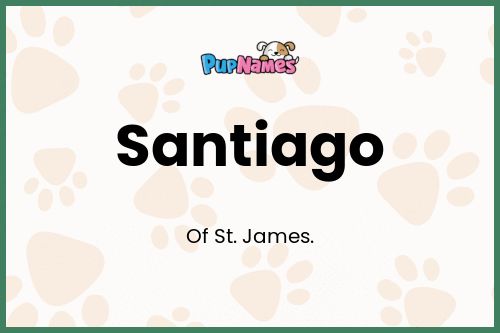 Santiago dog name meaning