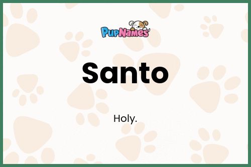 Santo dog name meaning