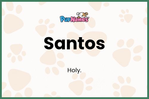 Santos dog name meaning