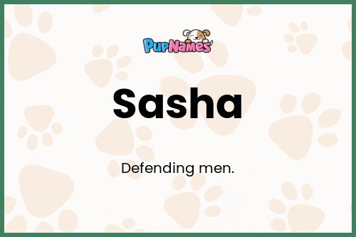 Sasha dog name meaning