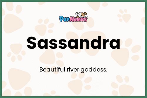 Sassandra dog name meaning