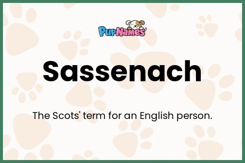 Sassenach dog name meaning