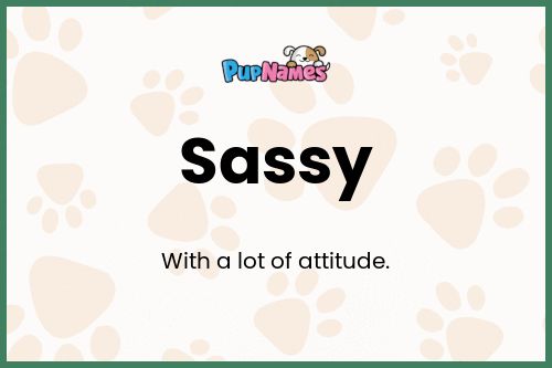 Sassy dog name meaning