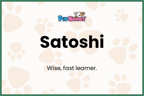 Satoshi dog name meaning