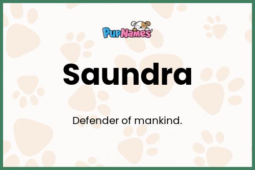 Saundra dog name meaning