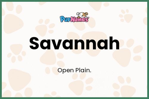 Savannah dog name meaning