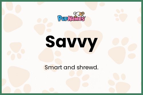 Savvy dog name meaning