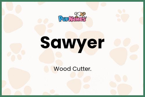 Sawyer dog name meaning