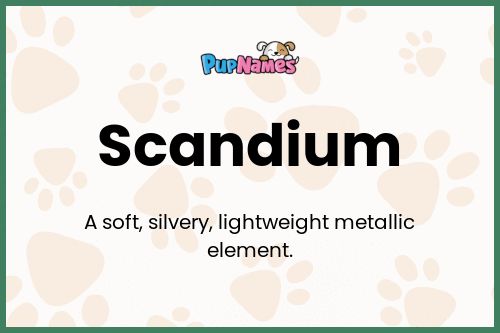 Scandium dog name meaning