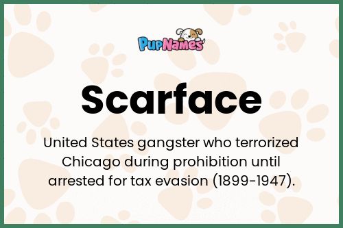 Scarface dog name meaning
