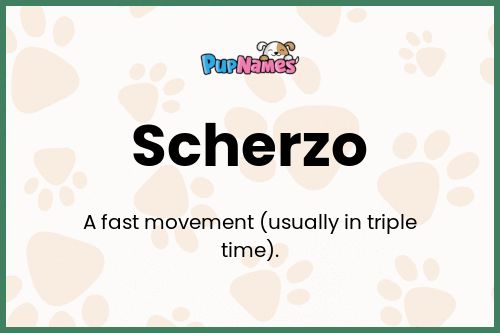 Scherzo dog name meaning