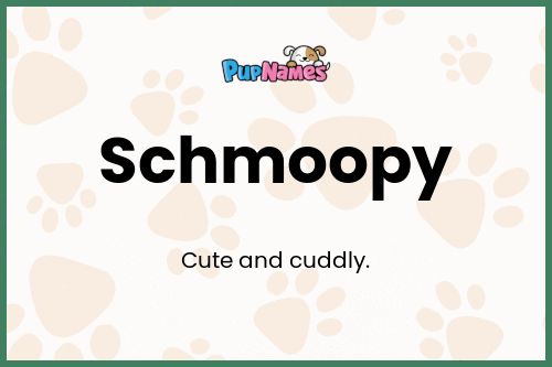 Schmoopy dog name meaning