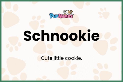 Schnookie dog name meaning