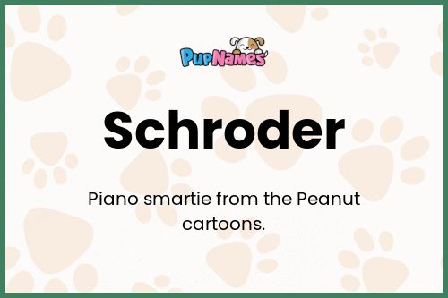 Schroder dog name meaning
