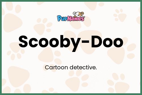 Scooby-Doo dog name meaning