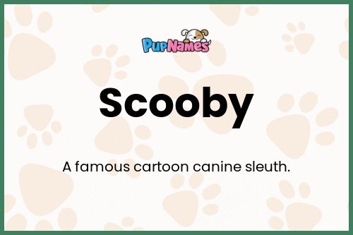 Scooby dog name meaning