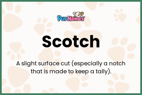 Scotch dog name meaning