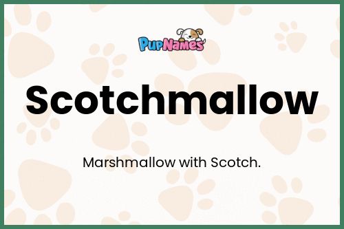 Scotchmallow dog name meaning