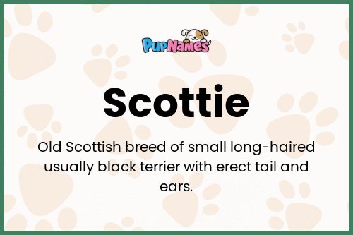 Scottie dog name meaning