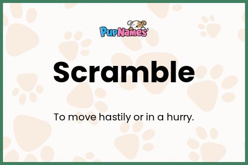 Scramble dog name meaning