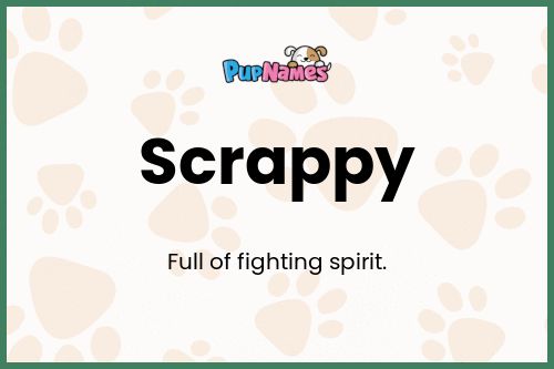 Scrappy dog name meaning