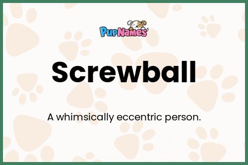 Screwball dog name meaning