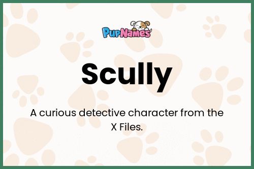 Scully dog name meaning