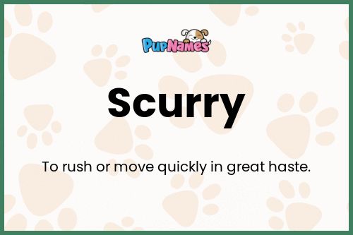 Scurry dog name meaning