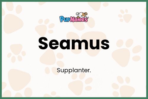 Seamus dog name meaning