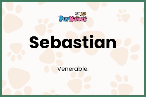 Sebastian dog name meaning