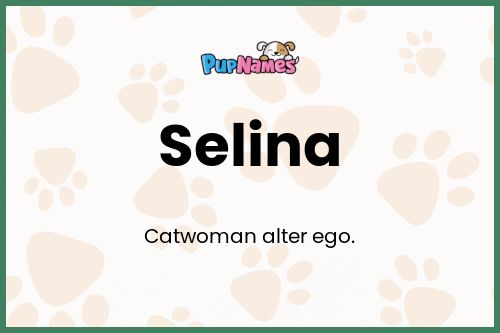 Selina dog name meaning