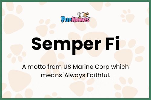 Semper Fi dog name meaning