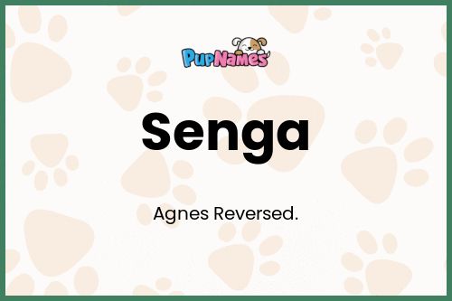 Senga dog name meaning